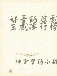 好看的腐剧双男主剧排行榜