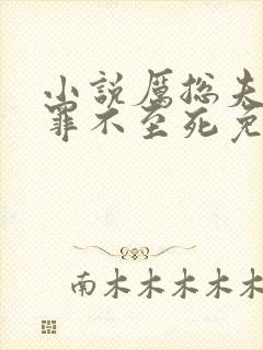 小说厉总夫人她罪不至死免费看