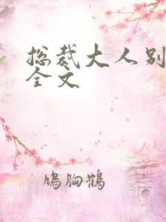 总裁大人别太坏全文