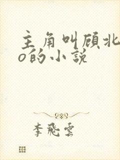 主角叫顾北弦苏o的小说