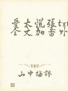 爱太慌张txt全文加番外