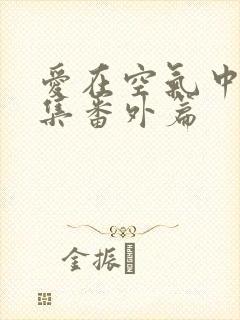 爱在空气中19集番外篇