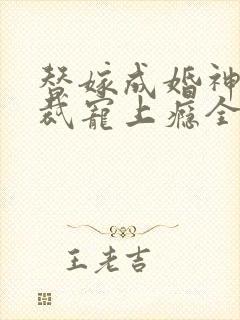 替嫁成婚神秘总裁宠上瘾全文免费阅读