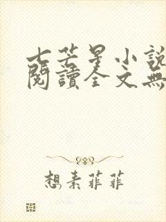 七芒星小说免费阅读全文无弹窗