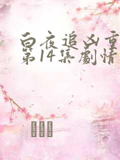 白夜追凶重逢版第14集剧情