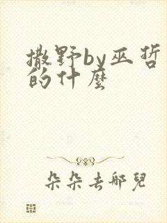 撒野by巫哲讲的什么