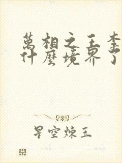 万相之王李洛到什么境界了