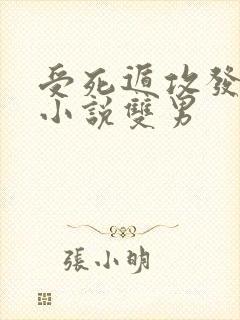 受死遁攻发疯的小说双男