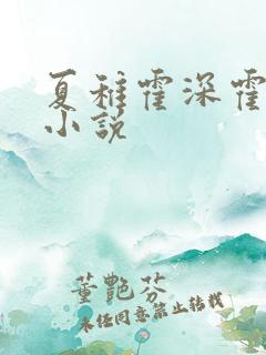 夏稚霍深霍栖野小说