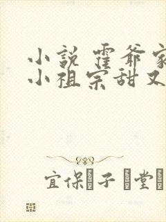 小说 霍爷家的小祖宗甜又野