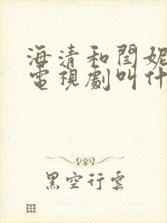 海清和闫妮演的电视剧叫什么名字