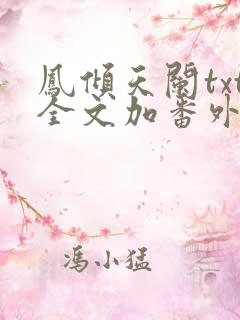 凤倾天阑txt全文加番外