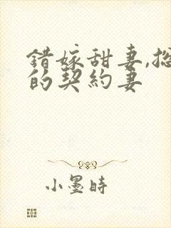 错嫁甜妻,总裁的契约妻