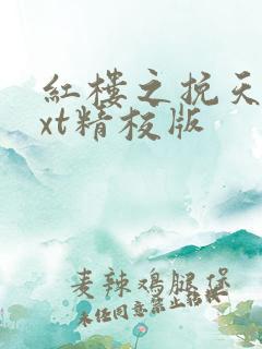 红楼之挽天倾txt精校版