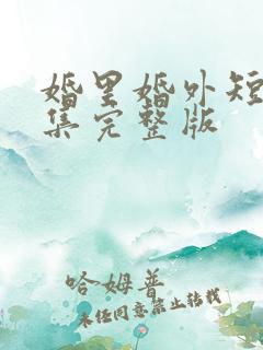 婚里婚外短剧全集完整版