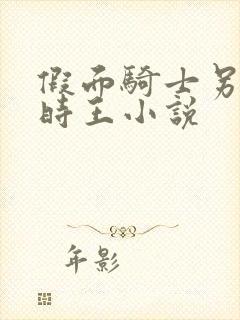 假面骑士另一个时王小说