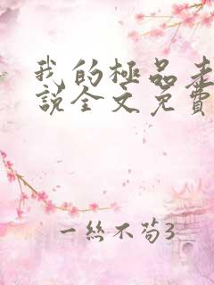 我的极品老婆小说全文免费阅读