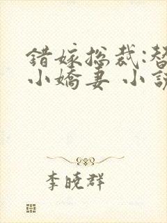 错嫁总裁:替身小娇妻 小说