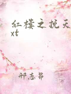 红楼之挽天倾txt