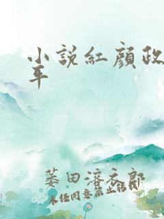 小说红颜政道周平