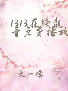 1313在线观看免费播放电视剧