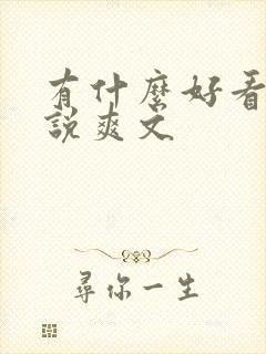 有什么好看的小说爽文