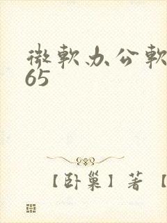 微软办公软件365