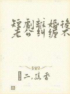 短剧离婚后前夫老公纠缠不休