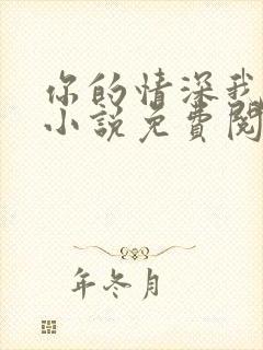 你的情深我不配小说免费阅读无弹窗