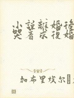 小说离婚后前夫哭着求复婚全文阅读