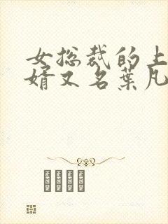 女总裁的上门女婿又名叶凡