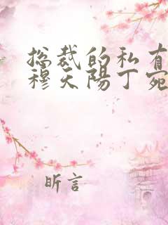 总裁的私有宝贝穆天阳丁宛情