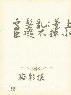 云鬓乱:惹上奸臣逃不掉小说免费阅读