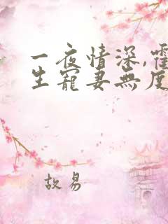 一夜情深,霍先生宠妻无度小说全部章节