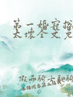 第一婚宠总裁别太坏全文免费阅读