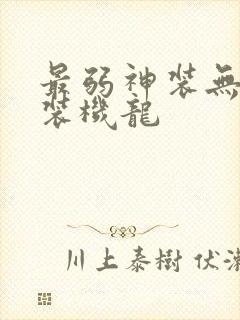 最弱神装无败神装机龙