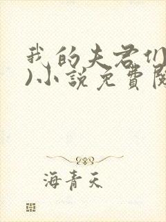 我的夫君们(双)小说免费阅读