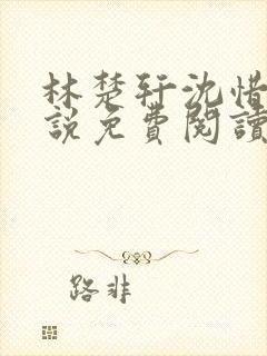 林楚轩沈惜月小说免费阅读最新章节