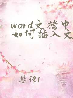 word文档中如何插入文件