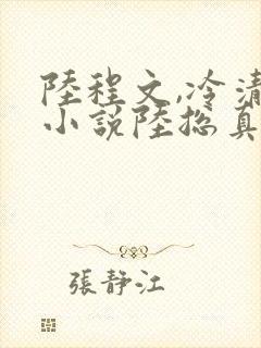 陆程文,冷清秋小说陆总真苟