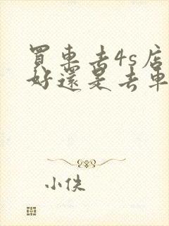 买车去4s店买好还是去车行买好