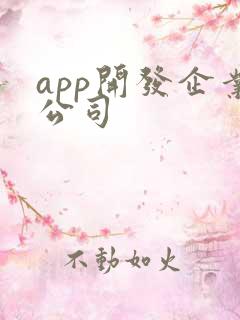 app开发企业公司