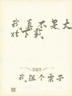 我真不是大佬txt下载