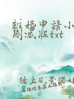 离婚申请小说无删减版txt