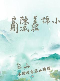 良陈美锦小说无删减版