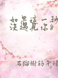 如果这一秒,我没遇见你》