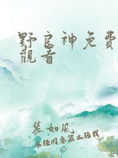野良神免费在线观看