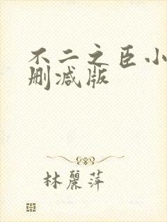 不二之臣小说未删减版