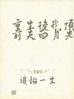 重生后我顶替了前夫白月光 第627章