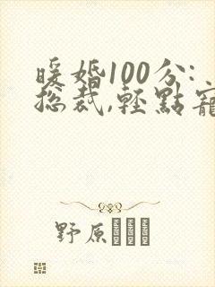 暖婚100分:总裁,轻点宠小说